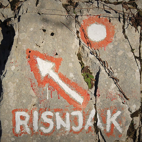 Risnjak